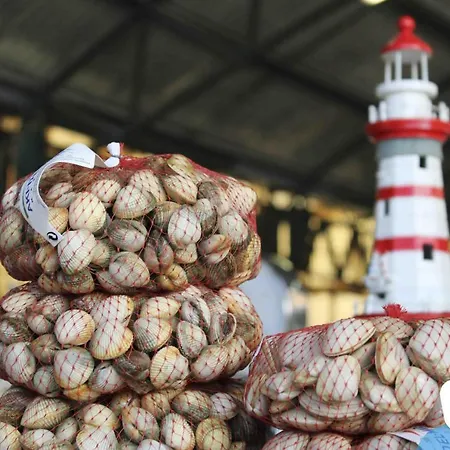 Muralha - By Sch Nazaré